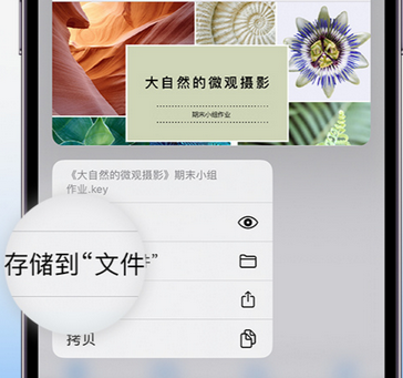 珙县apple维修中心分享iPhone文件应用中存储和找到下载文件