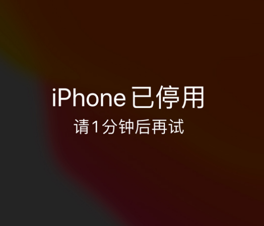 珙县苹果手机维修分享:iPhone 显示“不可用”或“已停用”怎么办？还能保留数据吗？ 