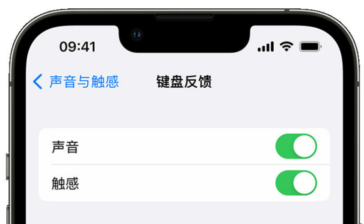 珙县苹果手机维修分享iPhone 14触感键盘使用方法 