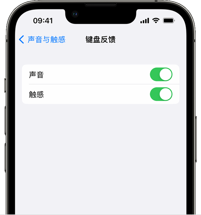 珙县苹果14维修店分享如何在 iPhone 14 机型中使用触感键盘 