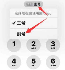 珙县苹果14维修店分享iPhone 14 Pro Max使用副卡打电话的方法 