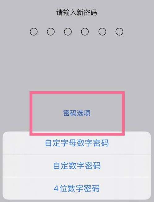 珙县苹果14维修分享iPhone 14plus设置密码的方法 