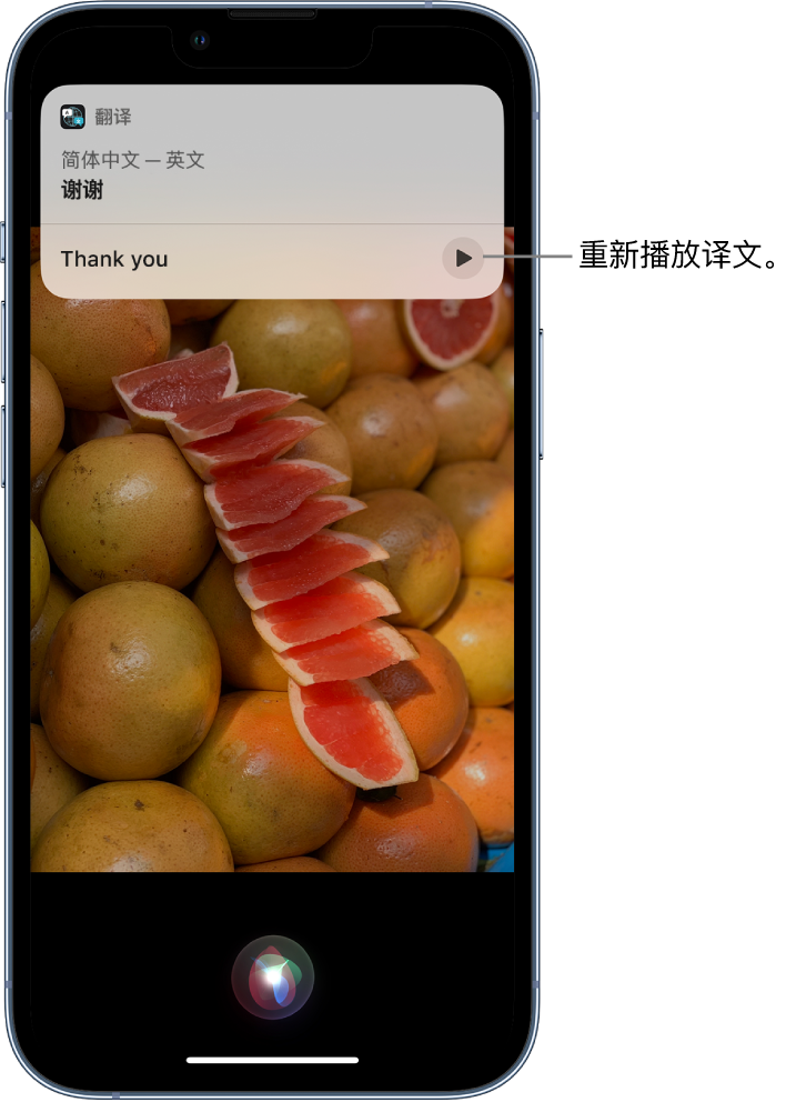 珙县苹果14维修分享 iPhone 14 机型中使用 Siri：了解 Siri 能帮你做什么 