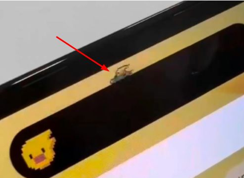 珙县苹果14维修分享iPhone 14 Pro Max灵动岛怎么养宠物 