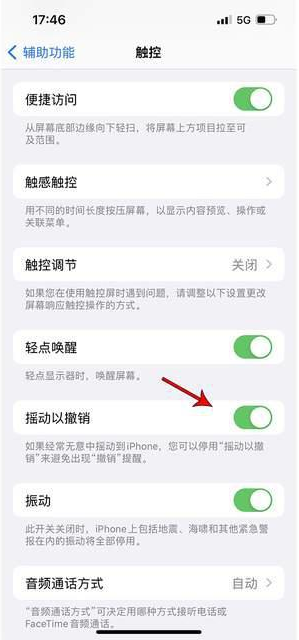 珙县苹果手机维修分享iPhone手机如何设置摇一摇删除文字 