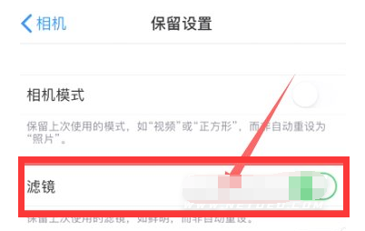 珙县苹果13维修分享iPhone13拍照有绿点是怎么回事 