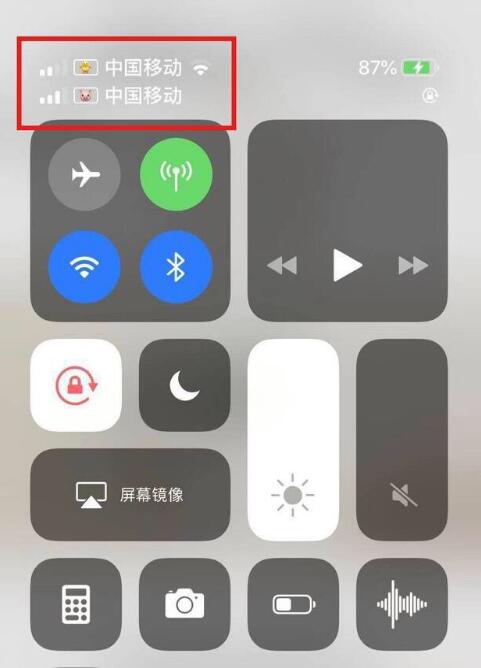 珙县苹果手机维修分享为 iPhone 12 双卡设置标签 