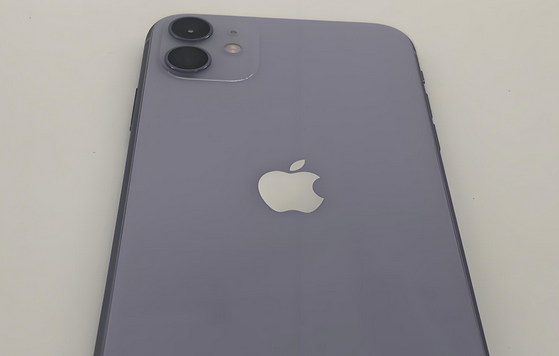 珙县苹果11系统维修分享iPhone11手机系统崩溃无法开机如何解决 